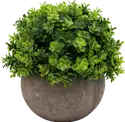 Planta decorativa con maceta para interior Balkan Boho